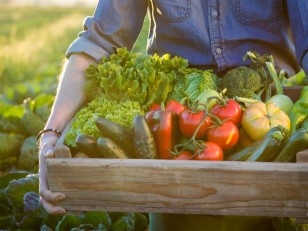 La Ferme du Puy d'Or